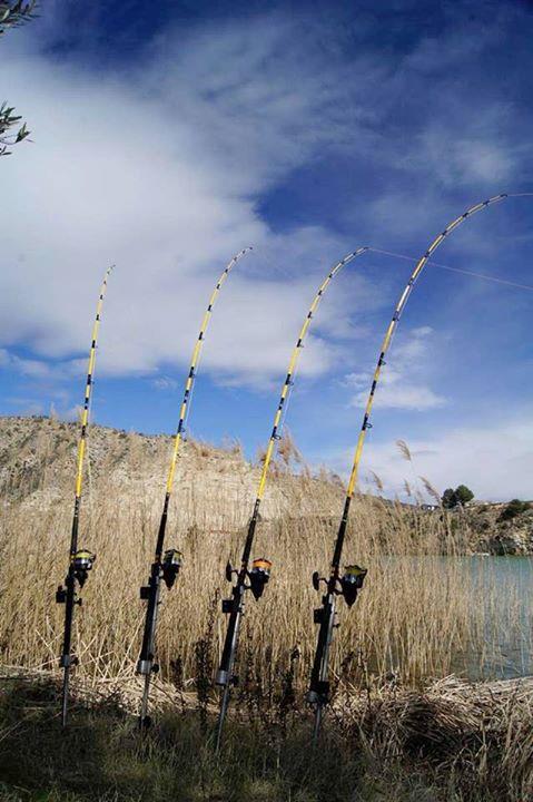 Black Cat - img16654820515144.jpeg